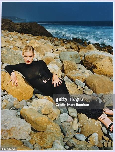 bridgette wilson bikini|436 Bridgette Wilson Photos & High Res Pictures